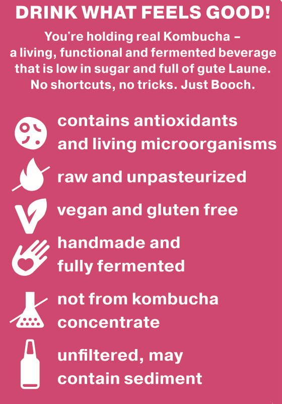 Strawberry Mint Raw Kombucha YO BOOCH Craft Kombucha