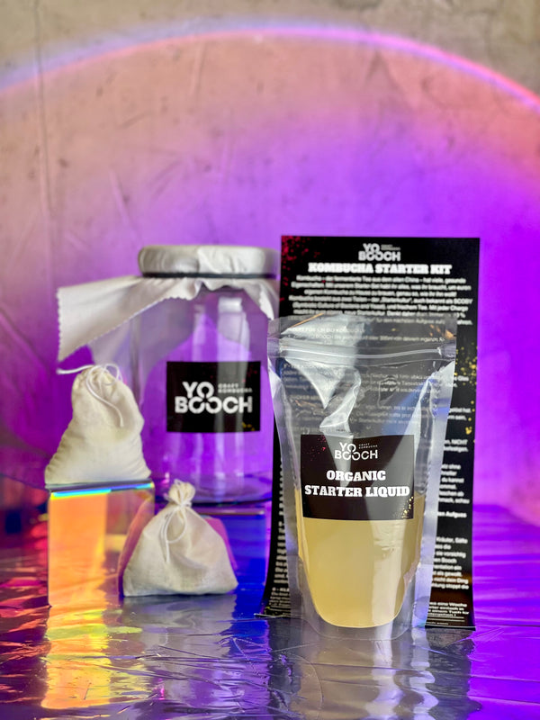 DIY Kombucha home brew starter kit, including glass jar, sugar, tea, scoby starter liquid, cotton cloth and rubber band. 